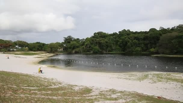 Salvador Bahia Brazil Januari 2021 Utsikt Över Vattnet Från Lagoa — Stockvideo