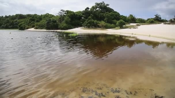 2021年1月21日 巴伊亚州的打捞人 萨尔瓦多市Lagoa Abaete的水景 — 图库视频影像