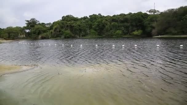 Salvador Bahia Braziliaans Januari 2021 Zicht Het Water Van Lagoa — Stockvideo