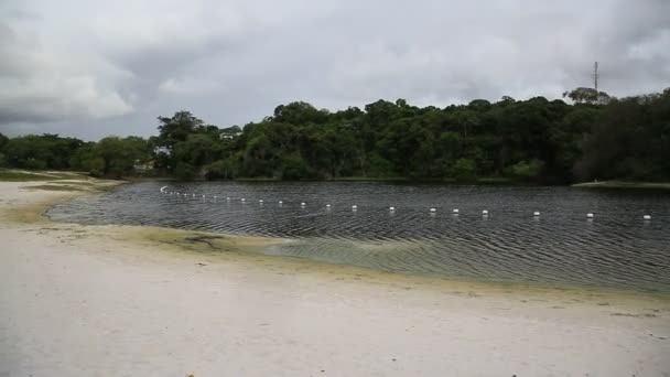 Salvador Bahia Brazil Januari 2021 Utsikt Över Vattnet Från Lagoa — Stockvideo