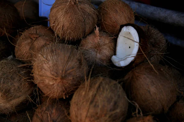 Salvador Bahia Brasil Junio 2021 Coco Seco Venta Feria Sao — Foto de Stock