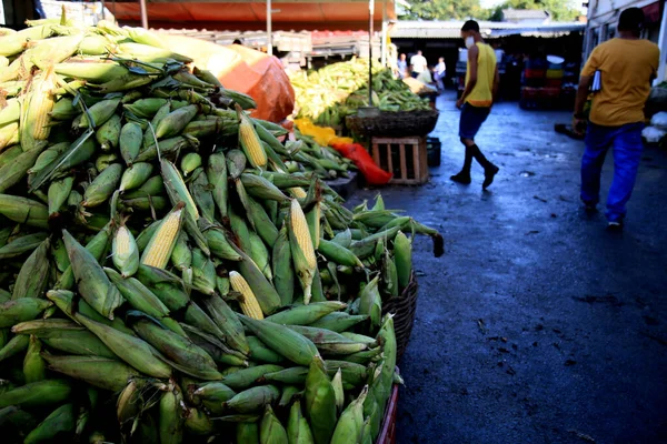 Salvador Bahia Brazil June 2021 Green Corn Sale Feira Sao — Stock Photo, Image