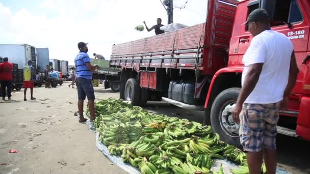 ブラジル バイーア州サラドール2021年6月28日 バナナをサルバドール市のフェイラ サンワーキムで販売 — ストック動画