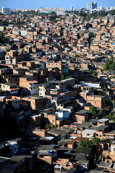 Salvador Bahia Brazil Июля 2021 Года Виды Популярного Жилья Фавеле — стоковое фото