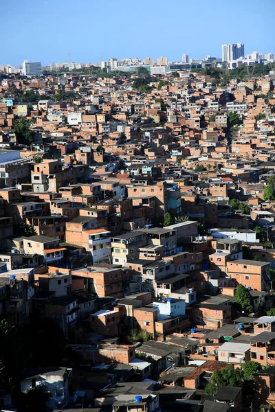 구아르 바히아 브라질 2021 살바도르 지역의 빈민가에 인기있는 주택의 — 스톡 사진