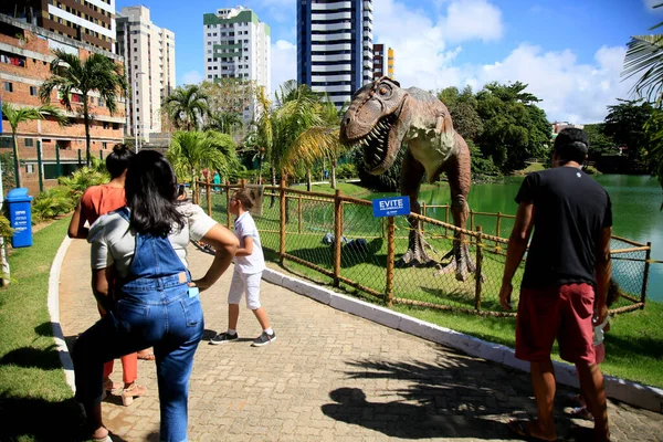 Salvador Bahia Brazil Juli 2021 Utsikt Över Skulpturen Lagoa Dos — Stockfoto