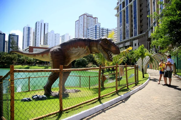 Salvador Bahia Brazil Juli 2021 Utsikt Över Skulpturen Lagoa Dos — Stockfoto