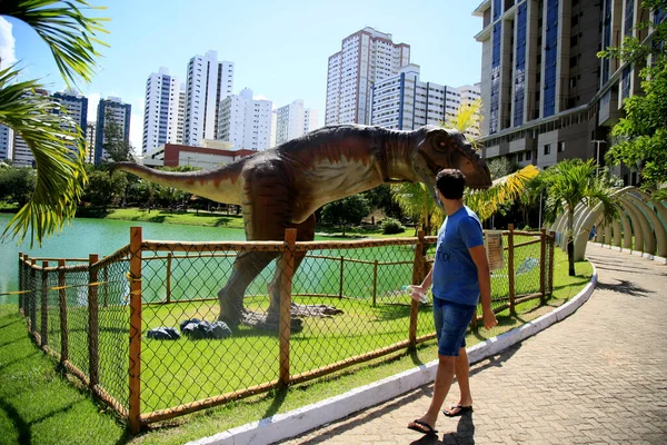 Salvador Bahia Brazil Juli 2021 Utsikt Över Skulpturen Lagoa Dos — Stockfoto