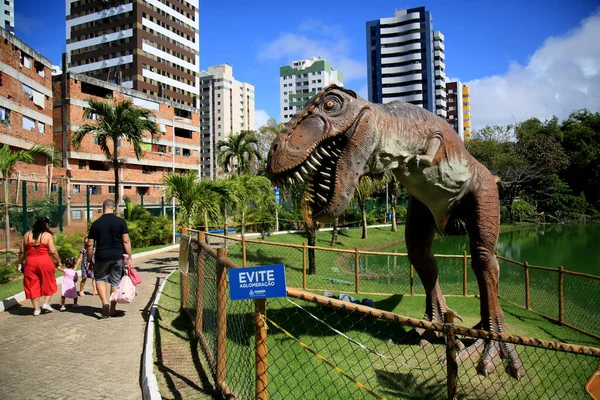 Salvador Bahia Brazil Juli 2021 Utsikt Över Skulpturen Lagoa Dos — Stockfoto