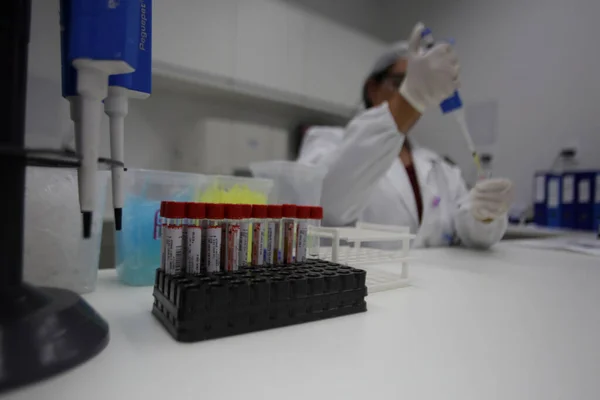 Salvador Bahia Brazil November 2018 Technician Laboratory Makes Analysis Blood — Stock Photo, Image