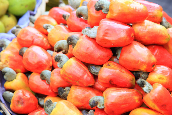 salvador, bahia, brazil - august 17, 2021: cashew fruits for sale in a fair in the city of Salvador.
