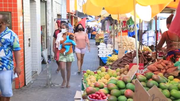 Salvador Bahia Braziliaans Augustus 2021 Mensen Worden Gezien Met Een — Stockvideo