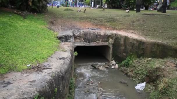 Salvador Bahia Brazil 2021年8月17日 萨尔瓦多市下水道露天排水道 — 图库视频影像