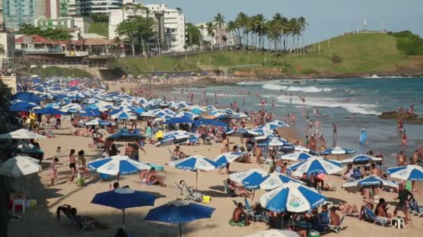 Salvador Bahia Brazil Szeptember 2021 Emberek Láthatók Praia Barra Homokján — Stock videók