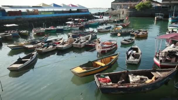 Salvador Bahia Brazilské Ostrovy Září 2021 Rybářské Čluny Artisanal Kotví — Stock video