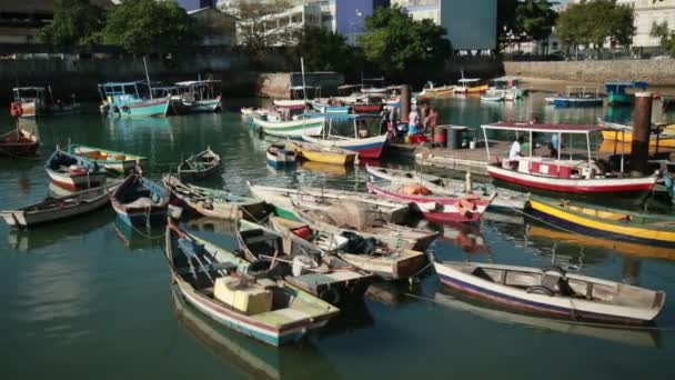 Salvador Bahia Brasilien September 2021 Håndværker Fiskeres Både Ses Fortøjet – Stock-video