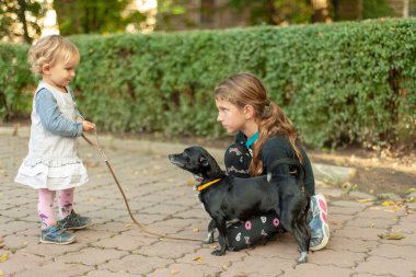 İki çocuk dışarıda küçük siyah bir köpekle oynuyorlar..