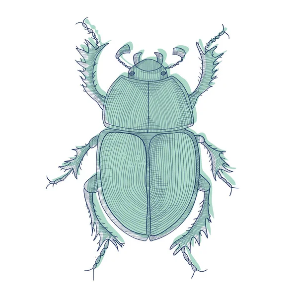 Σκαθάρι Του Δάσους Ζωγραφισμένα Στο Χέρι Απεικόνιση Bug Γραμμές Σχεδιασμού — Διανυσματικό Αρχείο