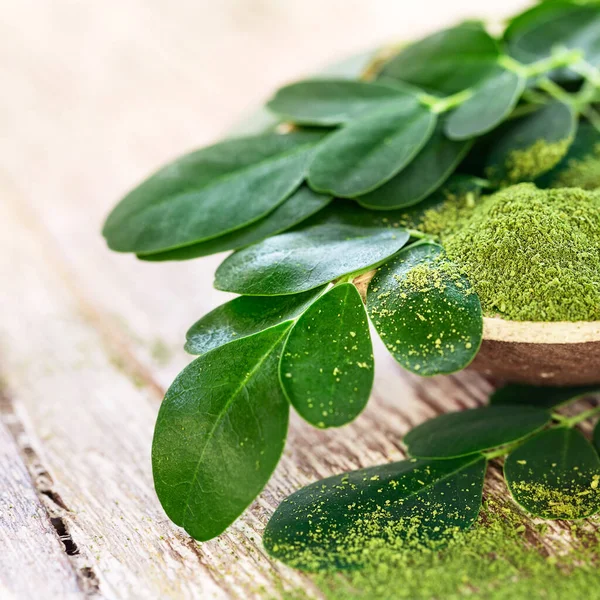 Moringa Pulver Moringa Oleifera Kokosnussschale Mit Original Frischen Moringa Blättern — Stockfoto