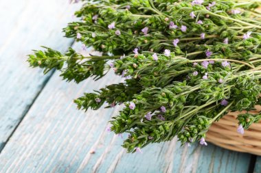 Fotokopi uzayı olan mavi ahşap bir arka planda sepetin içinde taze kekik. Sağlıklı çay, alternatif ilaç, antibakteriyel bitki, antioksidan, baharat..