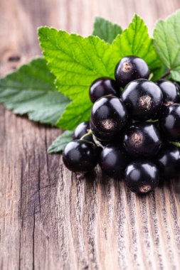 Köhne eski ahşap arka planda orijinal yapraklı taze, siyah frenk üzümü. Sağlıklı yiyecek, hasat, C vitamini..