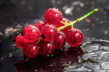 Siyah zemin üzerinde su damlaları olan kırmızı frenk üzümü ve yakın çekim. Sağlıklı yiyecek, taze organik dut, vitamin, detoks, vegan.