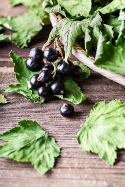 Kurumuş yeşil yapraklı siyah frenk üzümü ahşap arka planda, kopyalanmış alanla yakın plan. Bitki çayı, alternatif ilaç, vitamin..