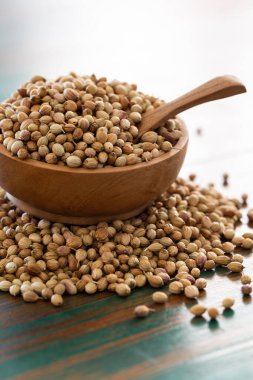 Kurumuş organik kişniş tohumları (Coriandrum sativum) renkli kırsal arka planda kaşıkla ahşap kasede. Sağlıklı beslenme, Hint baharatı, lezzet, vitamin