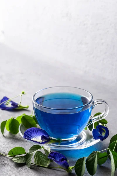 Mariposa Guisante Flor Guisante Azul Hierbas Una Taza Vidrio Para — Foto de Stock