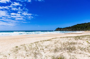 Alexandria Körfezi, Noosa Ulusal Parkı Queensland, Günışığı Sahili, Avustralya. Tatil, dinlenme, zaman, seyahat, doğa..