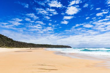 Alexandria Körfezi, Noosa Ulusal Parkı Queensland, Günışığı Sahili, Avustralya. Tatil, dinlenme, zaman, seyahat.