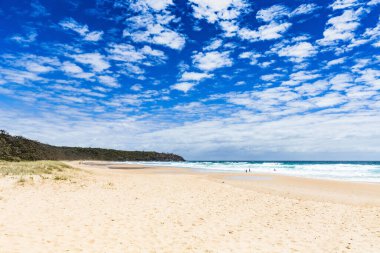 Alexandria Körfezi, Noosa Ulusal Parkı Queensland, Günışığı Sahili, Avustralya. Tatil, dinlenme, zaman, seyahat.