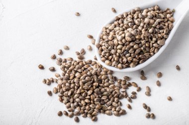 İşlenmemiş organik kenevir tohumları beyaz arka plandaki küçük beyaz kasede. Süper yiyecek ve vejetaryen konsepti. Metin için kopyalama alanı.