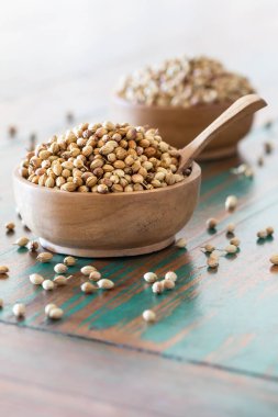 Kurumuş organik kişniş tohumları (Coriandrum sativum) renkli kırsal arka planda kaşıkla ahşap kaselerde bulunur. Sağlıklı beslenme, Hint baharatı, lezzet, vitamin.