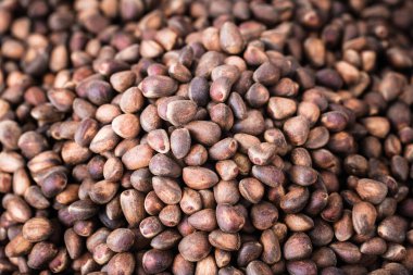 Sibirya sedir çam fıstığı arka planı. Sağlıklı, organik, çiğ vejetaryen yemekleri. Yakın çekim..