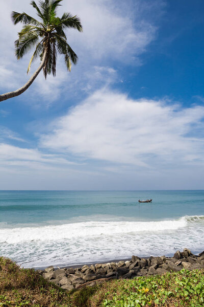 Море с лодкой и пальмой на пляже Одаям, Варна, штат Керала, Индия