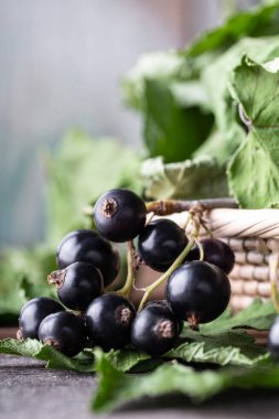 Yeşil yapraklı siyah frenk üzümü ahşap arka planda kopyalanmış alanla yakın plan