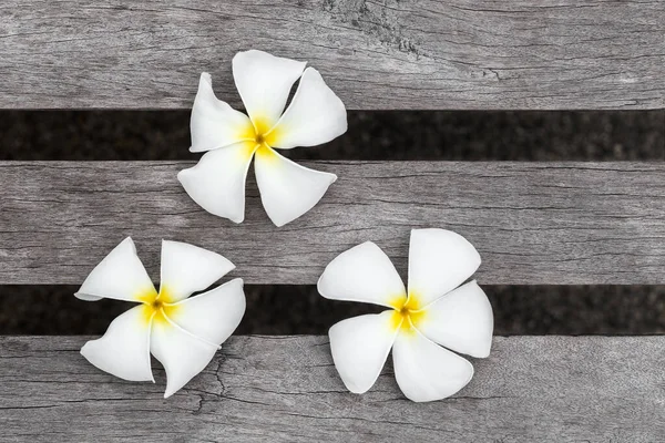 Flores Brancas Frangipani Sobre Fundo Madeira Espaço Para Texto — Fotografia de Stock