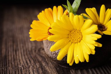 Ahşap arkaplan boşluğundaki bir kasede yakın çekim için kadife çiçekleri. 