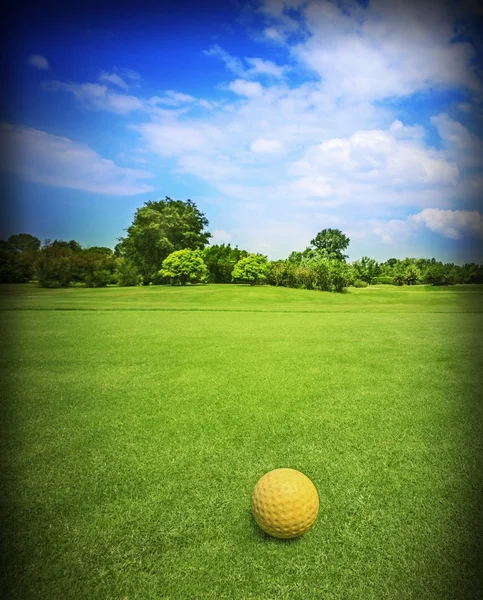 Golf alanı