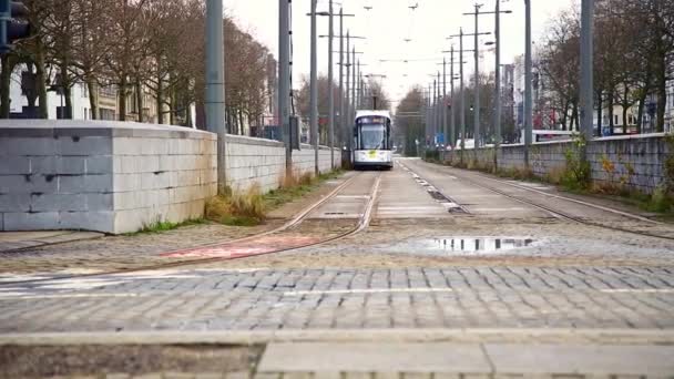 Amberes Bélgica Febrero 2021 Tranvía Intersección Coches Ciclistas Peatones Intersección Video de stock
