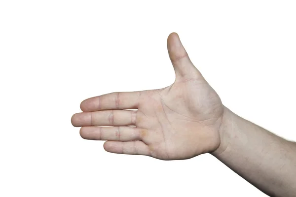 One hand — Stock Photo, Image