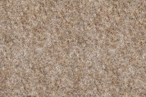 Zotteliger Teppich — Stockfoto