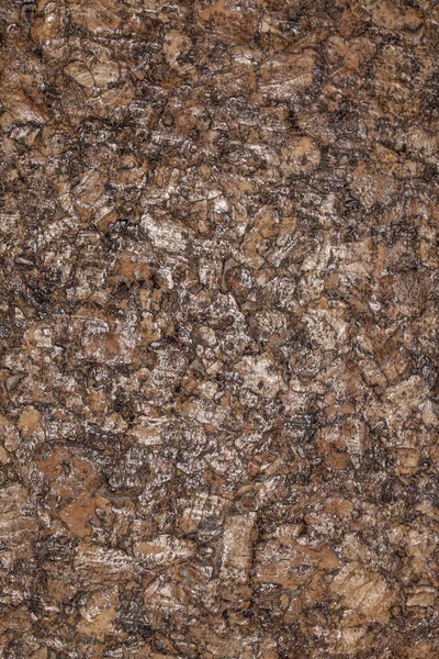 Cork surface background — Stock Photo, Image
