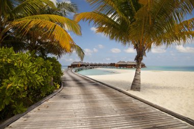 tropik bir ada, bungalov