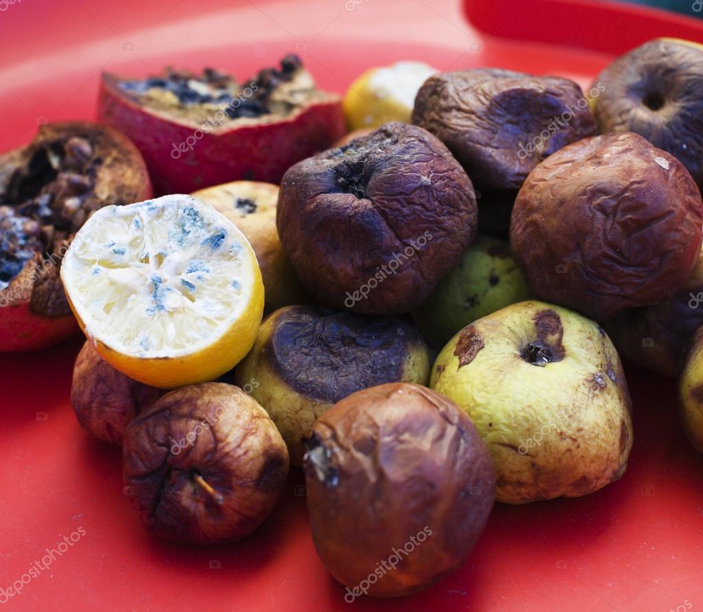 Rotten fruit – License Images – 550221 ❘ StockFood