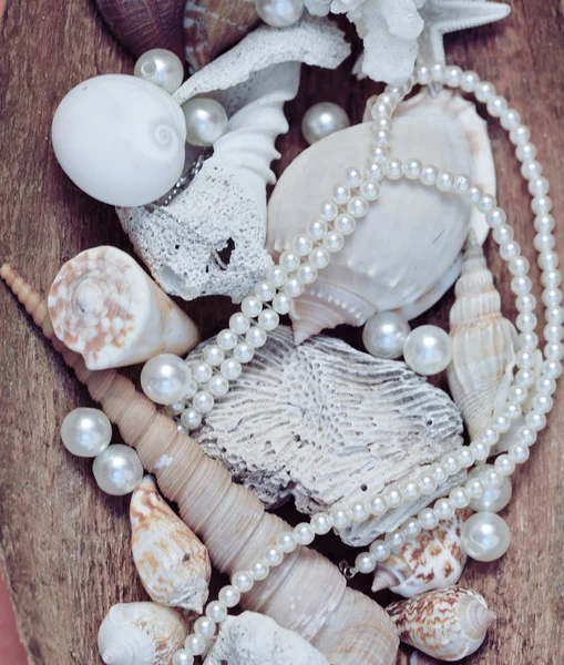 a lot of sea shells and perls in art mess