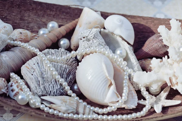 a lot of sea shells and perls in art mess