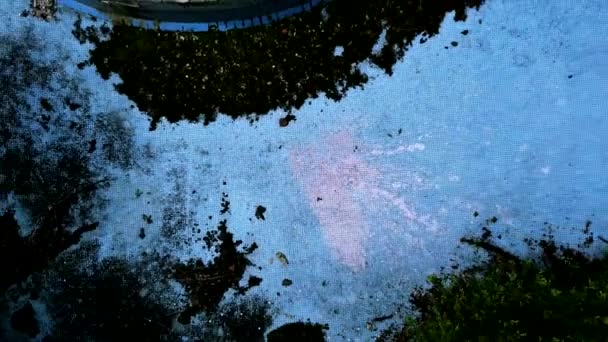 一个废弃的游泳池 — 图库视频影像
