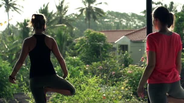 Unga flickvänner utöva yoga på terrassen — Stockvideo